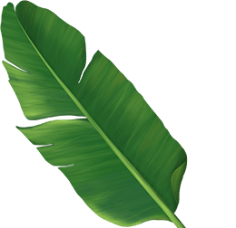Basil